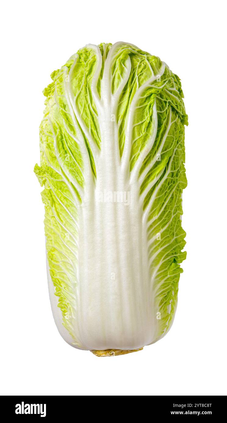Cavolo napa fresco isolato su sfondo bianco. Testa intera di cavolo cinese con intaglio di foglie verdi. Cibo vegano, verdure, design alimentare Foto Stock