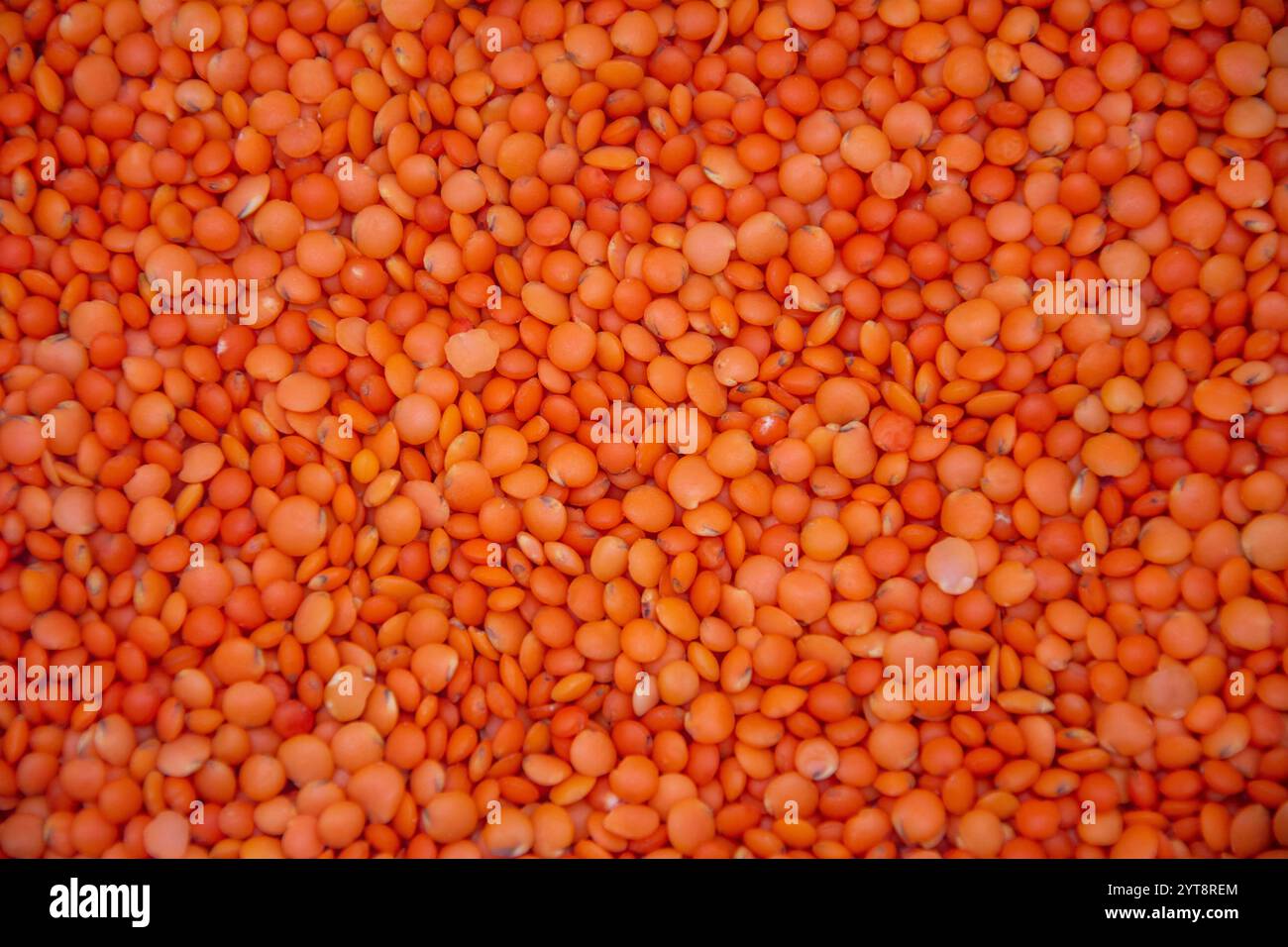 Immagine ricoperta da una pila di lenticchie rosse Foto Stock