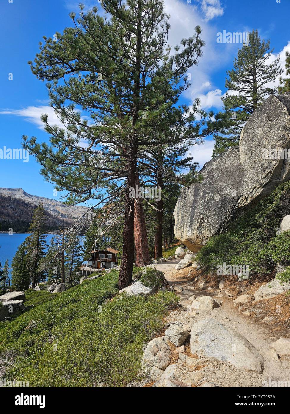 Un sentiero roccioso si snoda attraverso un paesaggio di montagna panoramico con alti pini, una capanna rustica e un tranquillo lago blu sotto un cielo vivace. - Immagine stock catturata con smartphone