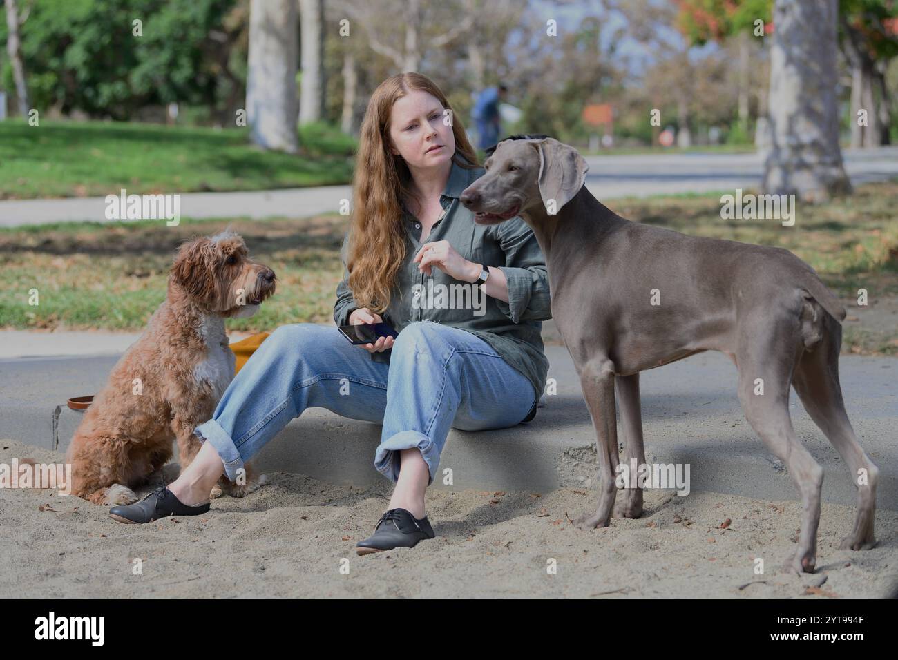DATA DI RILASCIO: 6 dicembre 2024. TITOLO: Nightbitch. STUDIO: Immagini in luce di ricerca. DIRETTORE: Marielle Heller. TRAMA: Una donna mette in pausa la sua carriera per diventare una mamma a casa, ma presto la sua domesticità prende una piega surreale. PROTAGONISTA: AMY ADAMS. (Immagine di credito: © Searchlight Pictures/Entertainment Pictures/ZUMAPRESS.com) SOLO PER USO EDITORIALE! Non per USO commerciale! Foto Stock
