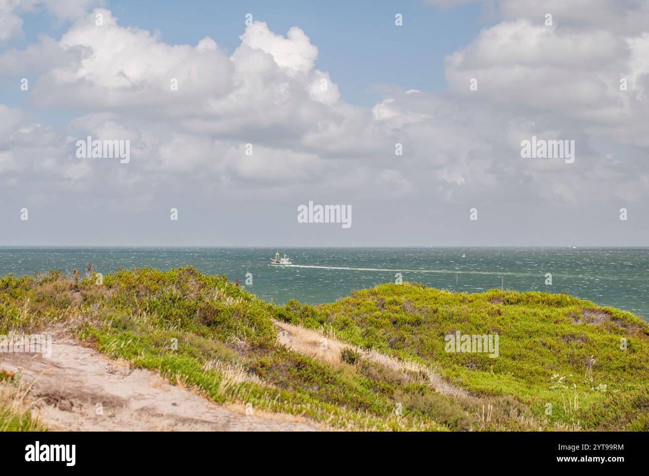 Pesca di cozze al largo dell'isola di Sylt Foto Stock