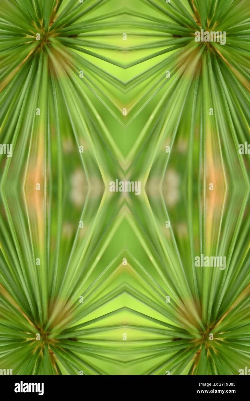 Collage fotografico porri ornamentali Foto Stock