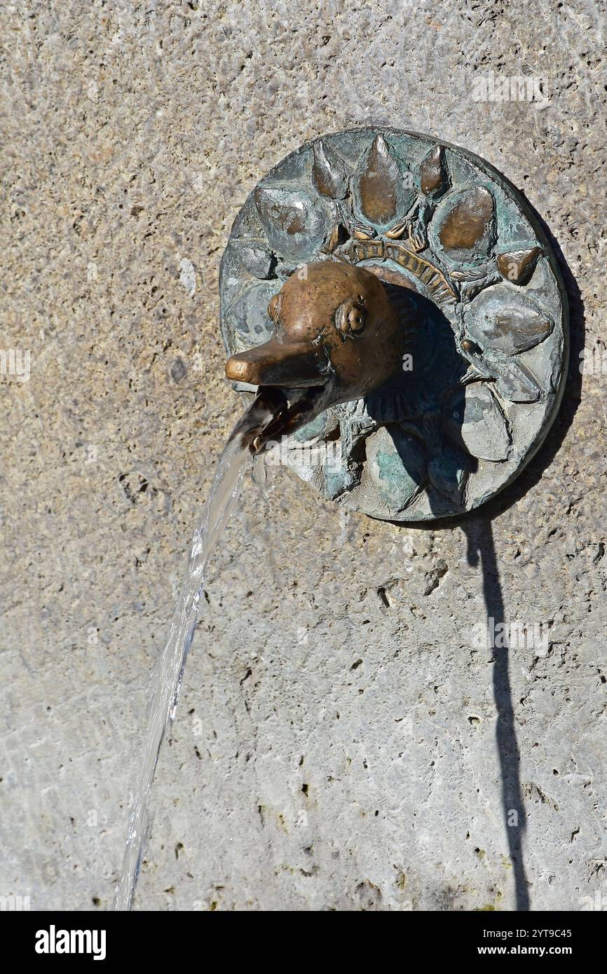 Gargoyle su una fontana Foto Stock