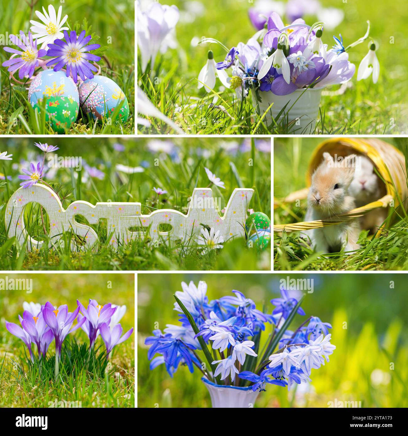 Colorato collage di Pasqua Foto Stock