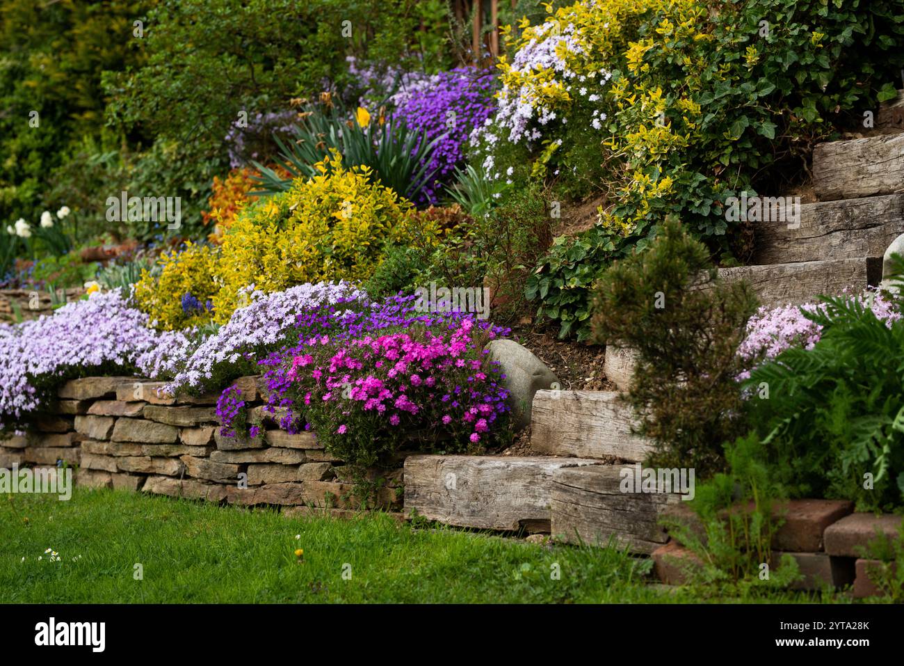 Letto perenne in primavera Foto Stock