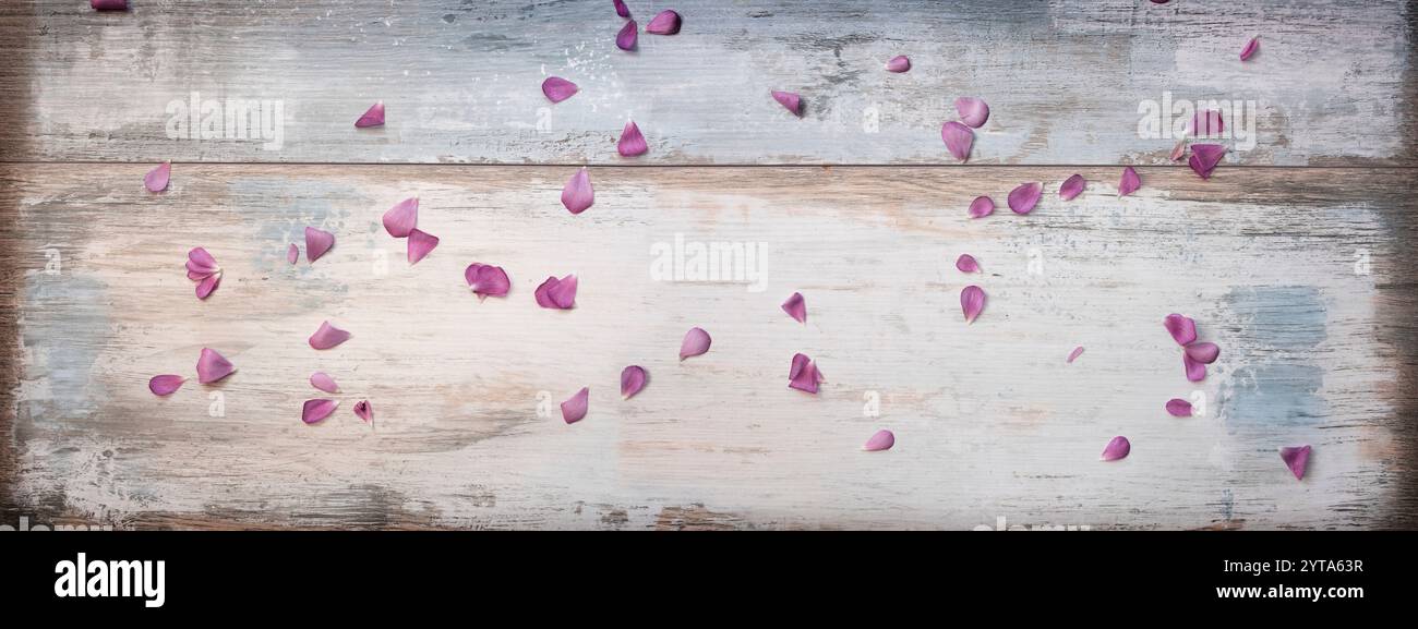 Sfondo vintage in legno con petali rosa Foto Stock