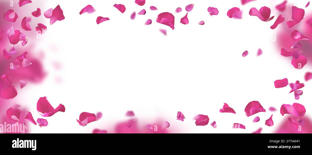 Sfondo con petali rosa fluttuanti Foto Stock