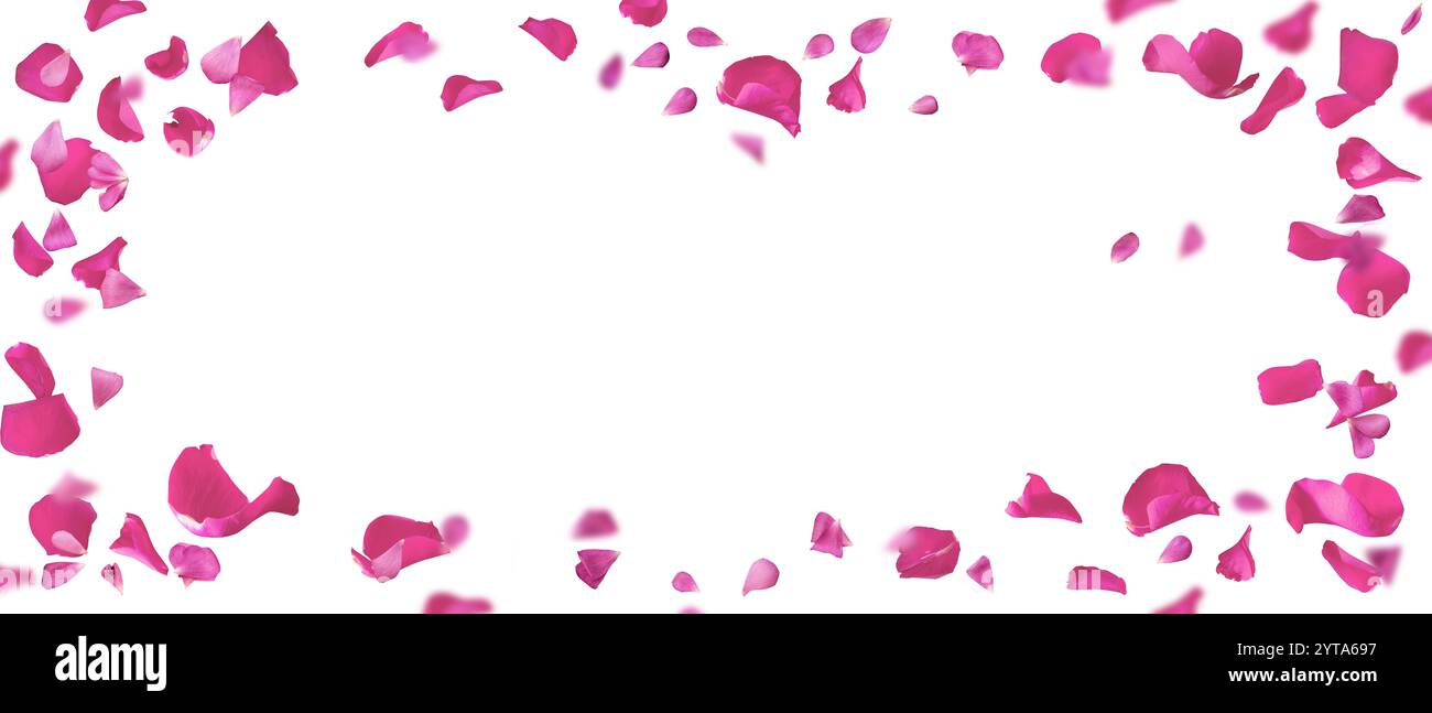 Sfondo con petali rosa fluttuanti Foto Stock