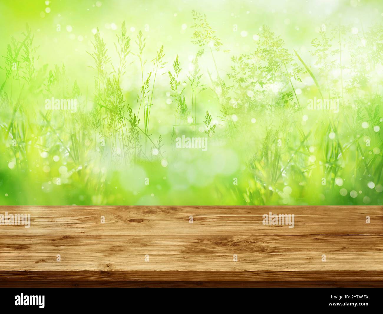 Bancone in legno vuoto di fronte a una crescita verde radiosa con bokeh luminoso. Scena Natur in primavera per decorazioni stagionali. Sfondo per le presentazioni e spazio per il testo. Foto Stock