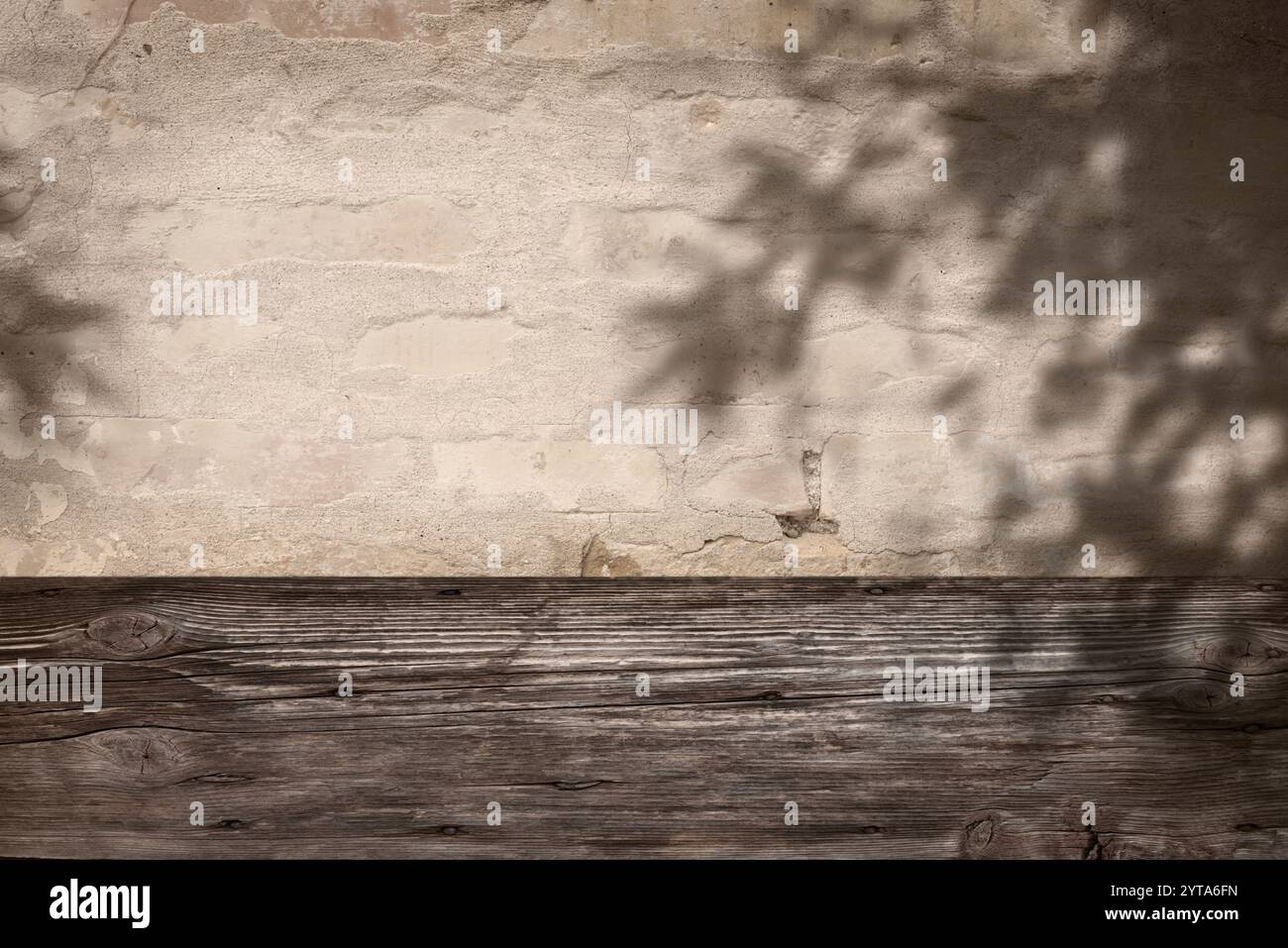 Sfondo color seppia con ombre vegetali su pareti in legno intemperie per il posizionamento dei prodotti. Esterni dall'architettura estiva con design boho estetico e spazio per il testo. Foto Stock