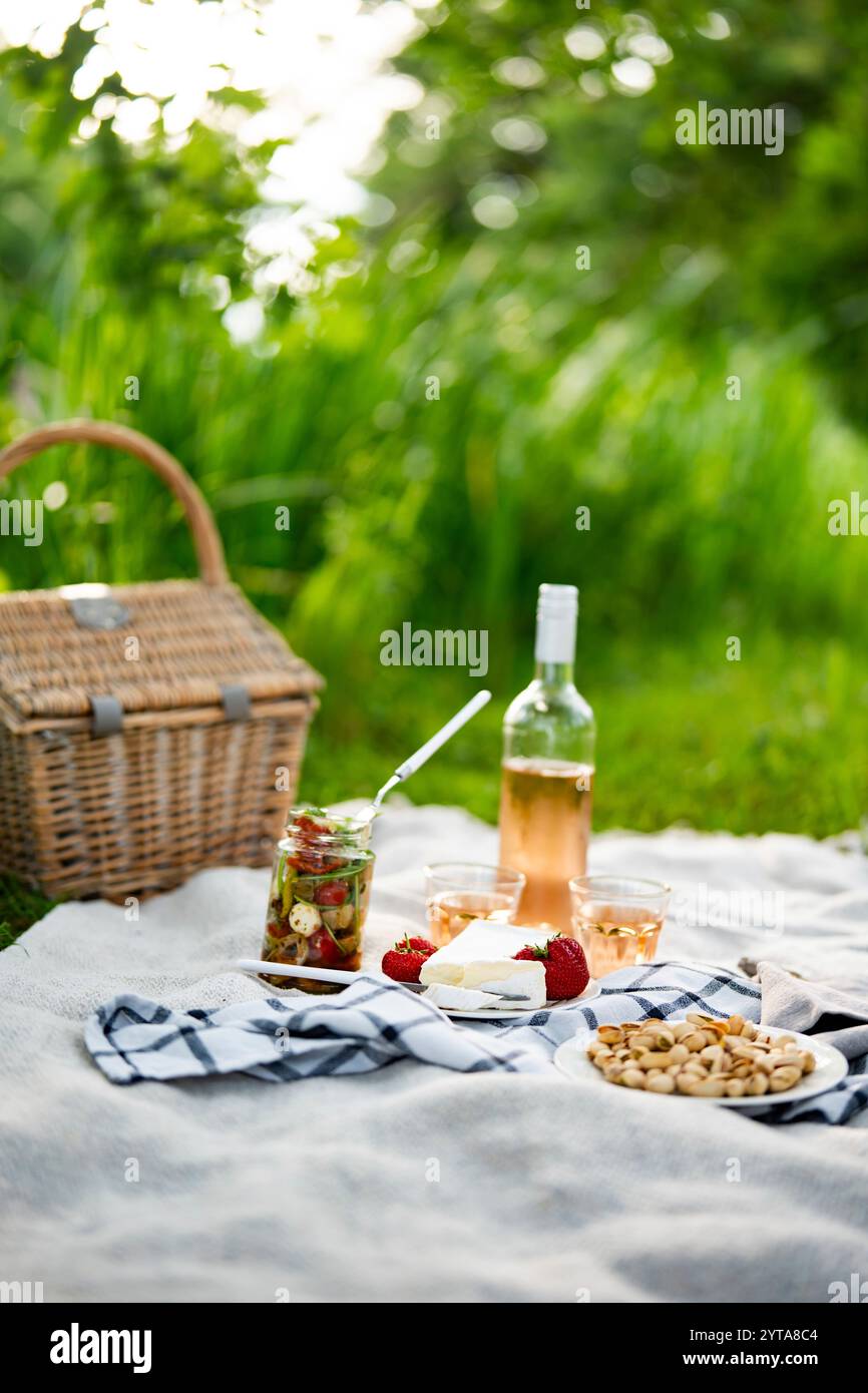 Picnic estivo in parco su coperta con cibo delizioso e una bottiglia di vino rosa. Sfondo Vertikcal con profondità di campo ridotta. Foto Stock