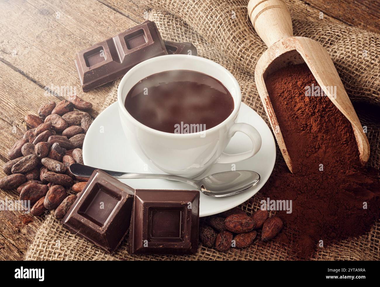 Tazza di cioccolata calda con cacao in polvere, fagioli di cacao e pezzi di cioccolato Foto Stock