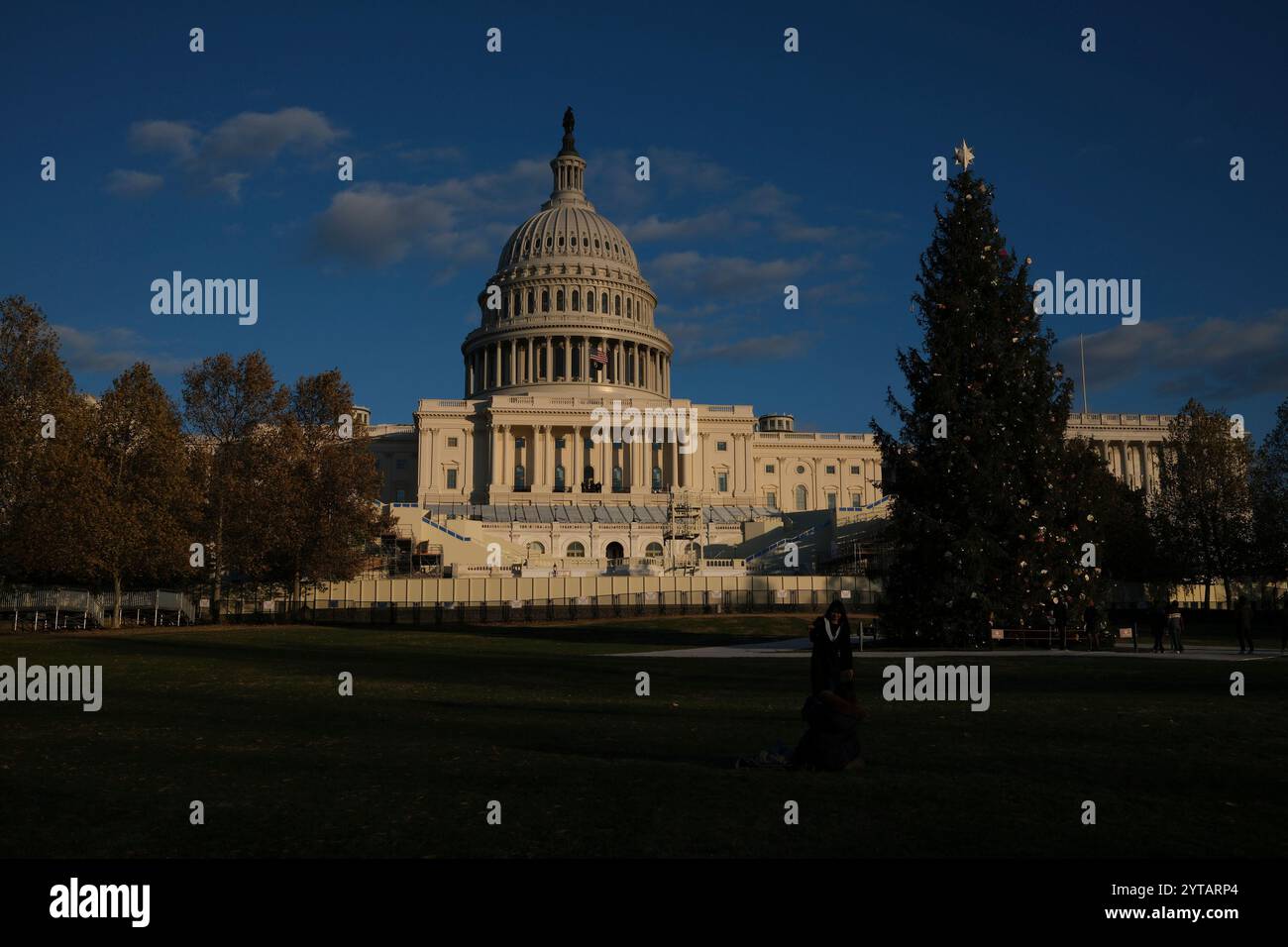 L'albero di Natale del Campidoglio è visibile fuori dal Campidoglio degli Stati Uniti a Washington, DC, il 6 dicembre 2024. L'albero del 2024 è un abete Sitka di 80 piedi proveniente dalla regione del distretto di Wrangell nella foresta nazionale di Tongass in Alaska. L'illuminazione dell'albero al di fuori del Campidoglio degli Stati Uniti è una tradizione lunga 60 anni che porta sia il personale Hill che i visitatori nel quartiere. Foto Stock