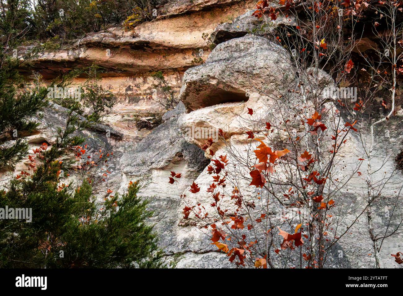 La formazione rocciosa che ricorda il volto di una scimmia, Monkey Rock, è circondata da vivaci foglie autunnali e da tessuti calcarei naturali in un ambiente aspro all'aperto Foto Stock