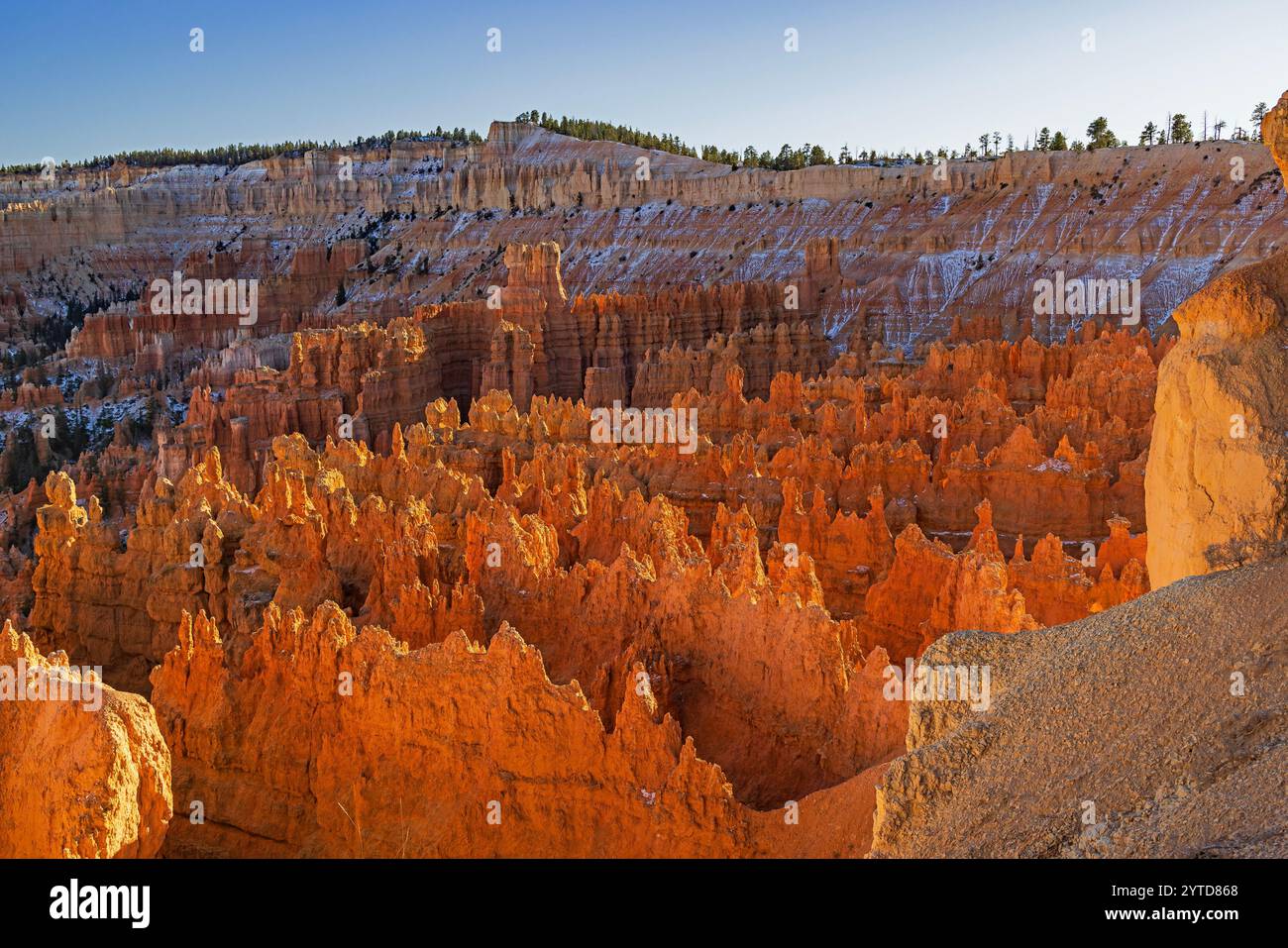 Le guglie di roccia rossa risplendono al sole del tardo pomeriggio, guardando a sud dal Sunset Point si affacciano sul Bryce Canyon National Park, Garfield County, Utah, USA. Foto Stock