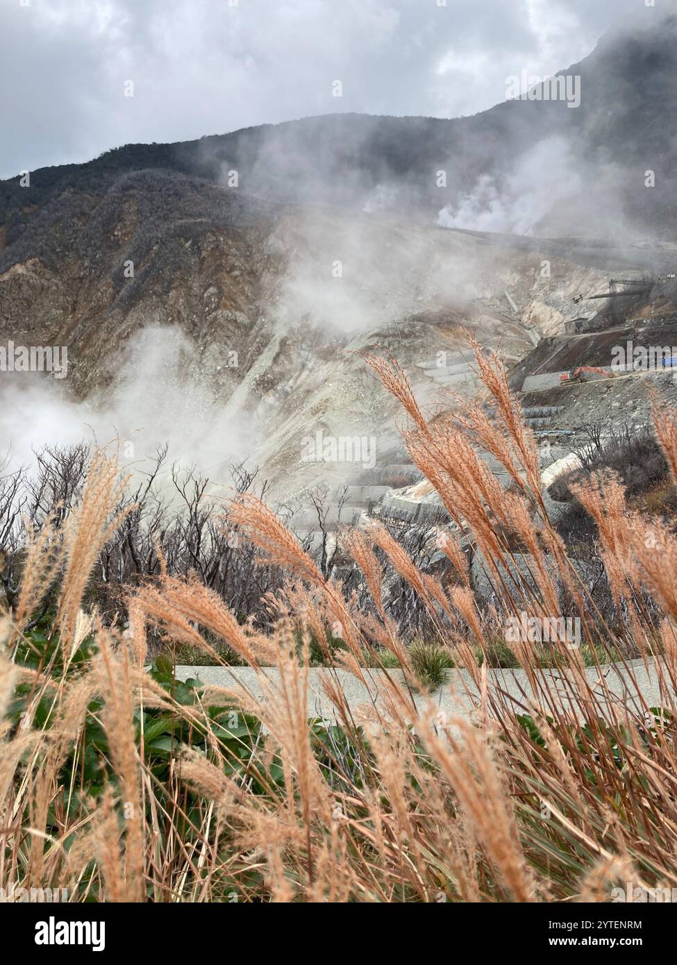 Vapore del vulcano di montagna Hakone in Giappone Foto Stock