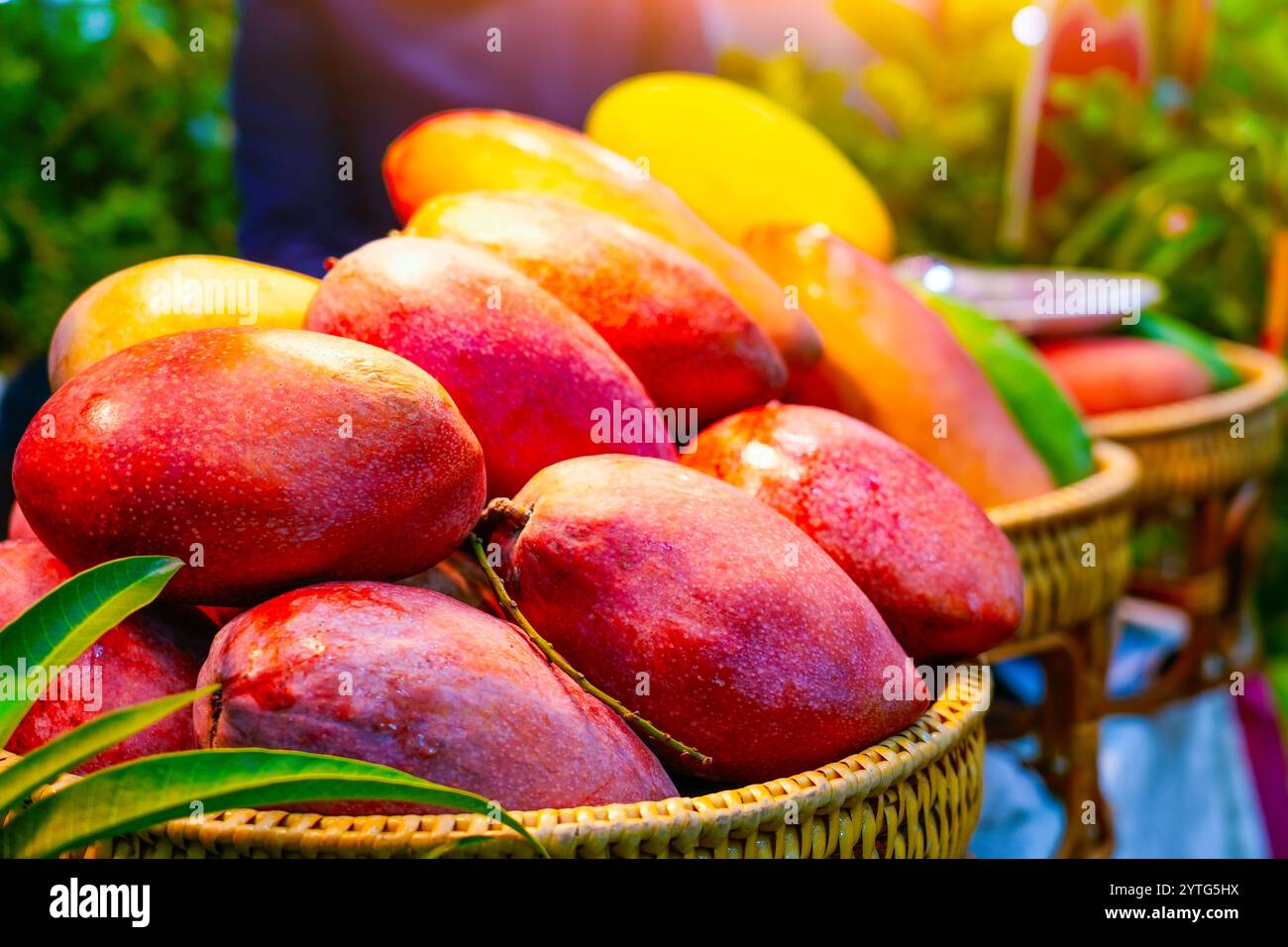Grande mango rosso con rami e foglie alberelli disposti ordinatamente su una piccola bancarella di frutta nel mercato dei frutti tropicali Foto Stock