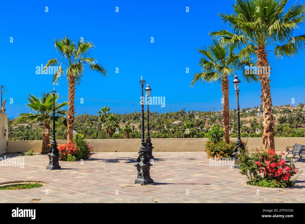 Un bellissimo ambiente all'aperto con palme e un cielo blu. La scena è tranquilla e rilassante, con un senso di calma e serenità Foto Stock