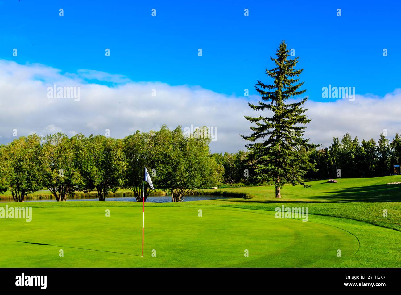 Un campo da golf con campo erboso verde e una bandiera a terra. La bandiera è su un tee e la palla da golf è in aria. Il cielo è limpido e blu, AN Foto Stock