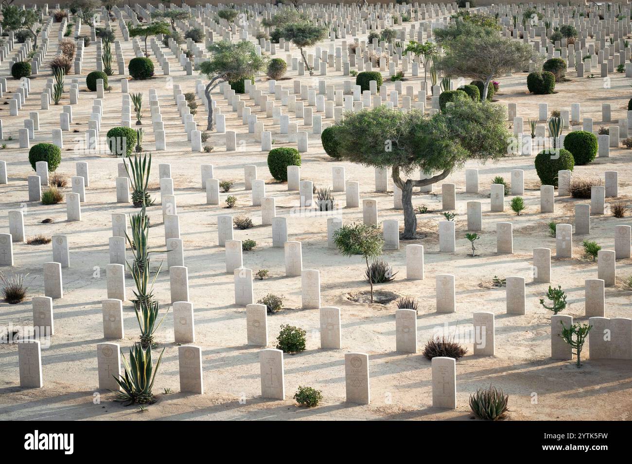 Una vista solenne del Cimitero di guerra di El Alamein, con lapidi ben allineate circondate da piante e alberi del deserto, che commemorano la soldia britannica della seconda guerra mondiale Foto Stock