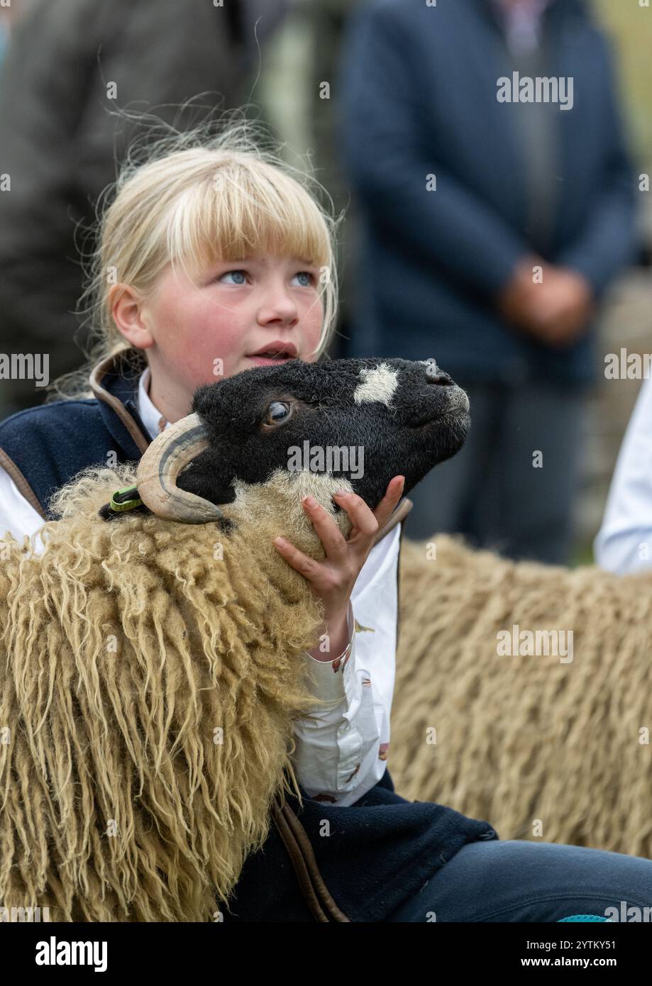 Le pecore Dalesbred vengono mostrate al Kilnsey Show del 2024 sotto l'ombra di Kilnsey Crag, nel cuore delle valli dello Yorkshire. North Yorkshire, Regno Unito. Foto Stock