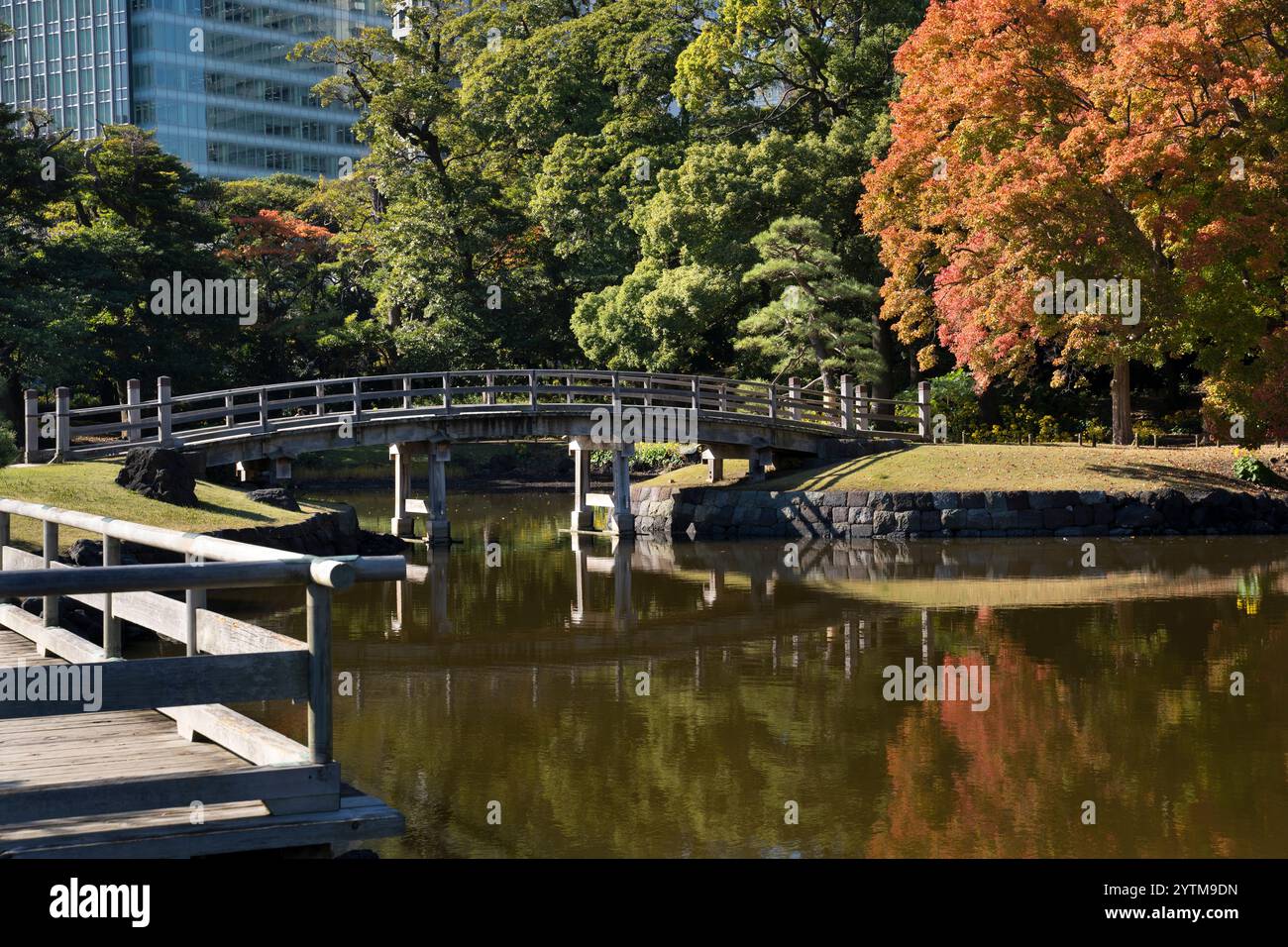 L'autunno parte ai giardini Hamarikyu, Tokyo, Giappone. Hamarikyu Garden si trova nel centro di Tokyo, accanto alla baia di Tokyo, nel quartiere Shiodome. Foto Stock