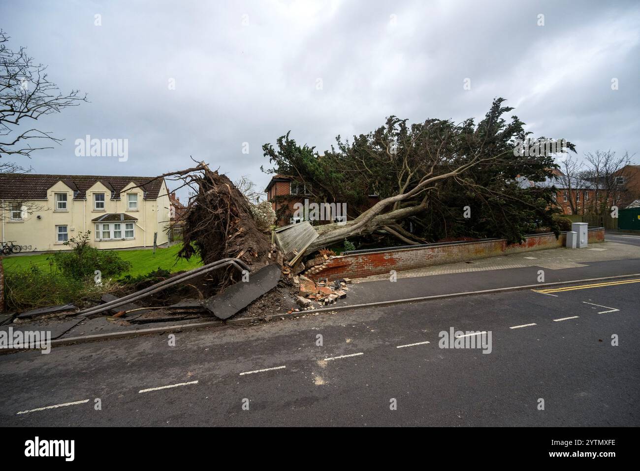 Burnham-on-Sea nel Somerset, dove un albero è caduto sulle case mentre Storm Darragh porta forti venti e forti piogge in tutto il Regno Unito. Foto Stock