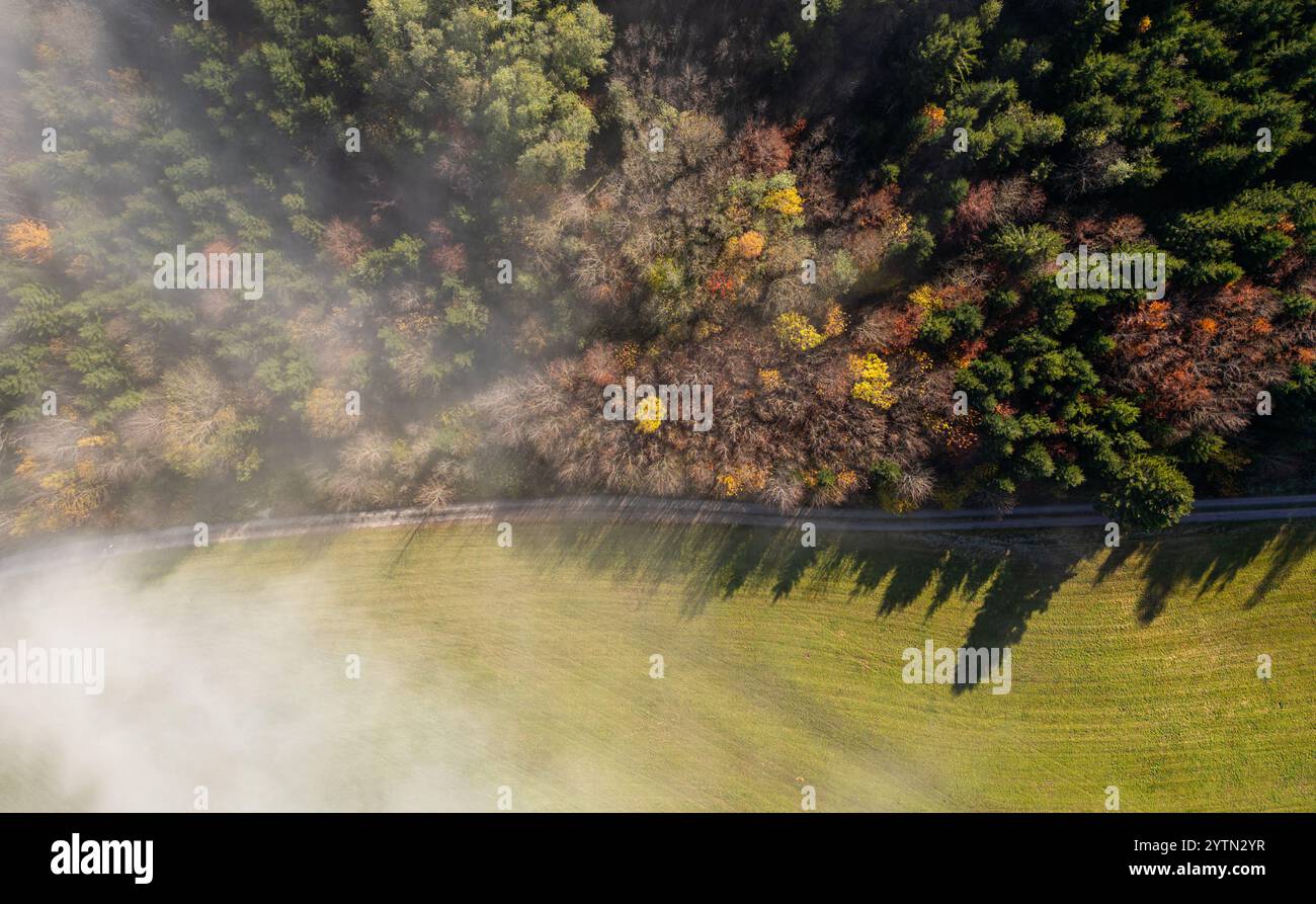 Grafenhausen, Germania, 10 novembre 2024: Dove l'alta nebbia si è liberata, sarà piacevole. La nebbia alta copre la Foresta Nera come lana di cotone. (Pho Foto Stock