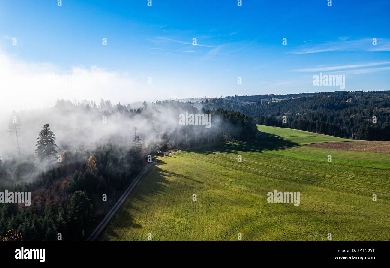 Grafenhausen, Germania, 10 novembre 2024: Dove l'alta nebbia si è liberata, sarà piacevole. La nebbia alta copre la Foresta Nera come lana di cotone. (Pho Foto Stock