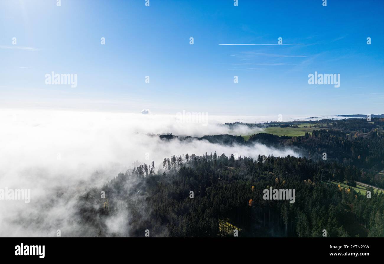 Grafenhausen, Germania, 10 novembre 2024: Dove l'alta nebbia si è liberata, sarà piacevole. La nebbia alta copre la Foresta Nera come lana di cotone. (Pho Foto Stock