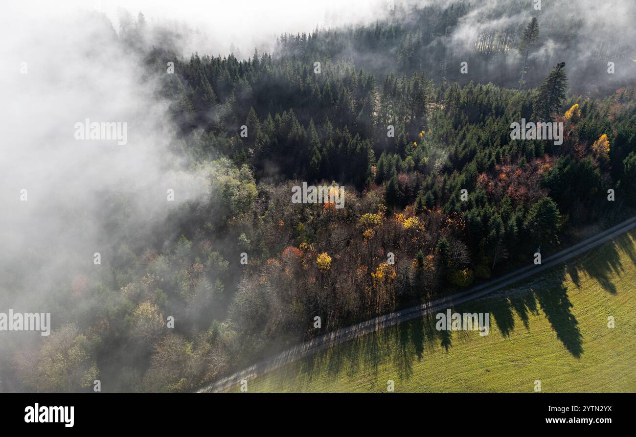 Grafenhausen, Germania, 10 novembre 2024: Dove l'alta nebbia si è liberata, sarà piacevole. La nebbia alta copre la Foresta Nera come lana di cotone. (Pho Foto Stock