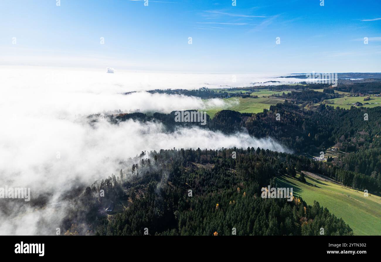 Grafenhausen, Germania, 10 novembre 2024: Dove l'alta nebbia si è liberata, sarà piacevole. La nebbia alta copre la Foresta Nera come lana di cotone. (Pho Foto Stock