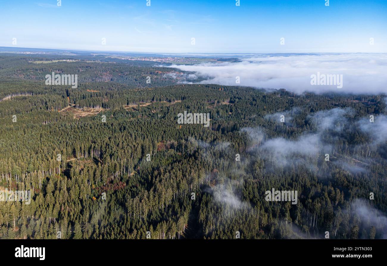 Grafenhausen, Germania, 10 novembre 2024: Dove l'alta nebbia si è liberata, sarà piacevole. La nebbia alta copre la Foresta Nera come lana di cotone. (Pho Foto Stock