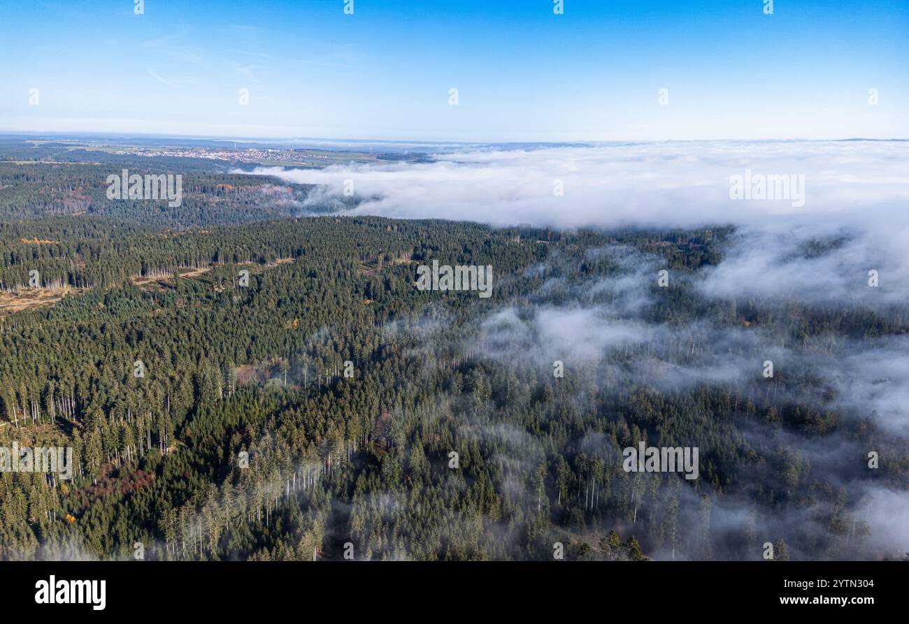 Grafenhausen, Germania, 10 novembre 2024: Dove l'alta nebbia si è liberata, sarà piacevole. La nebbia alta copre la Foresta Nera come lana di cotone. (Pho Foto Stock