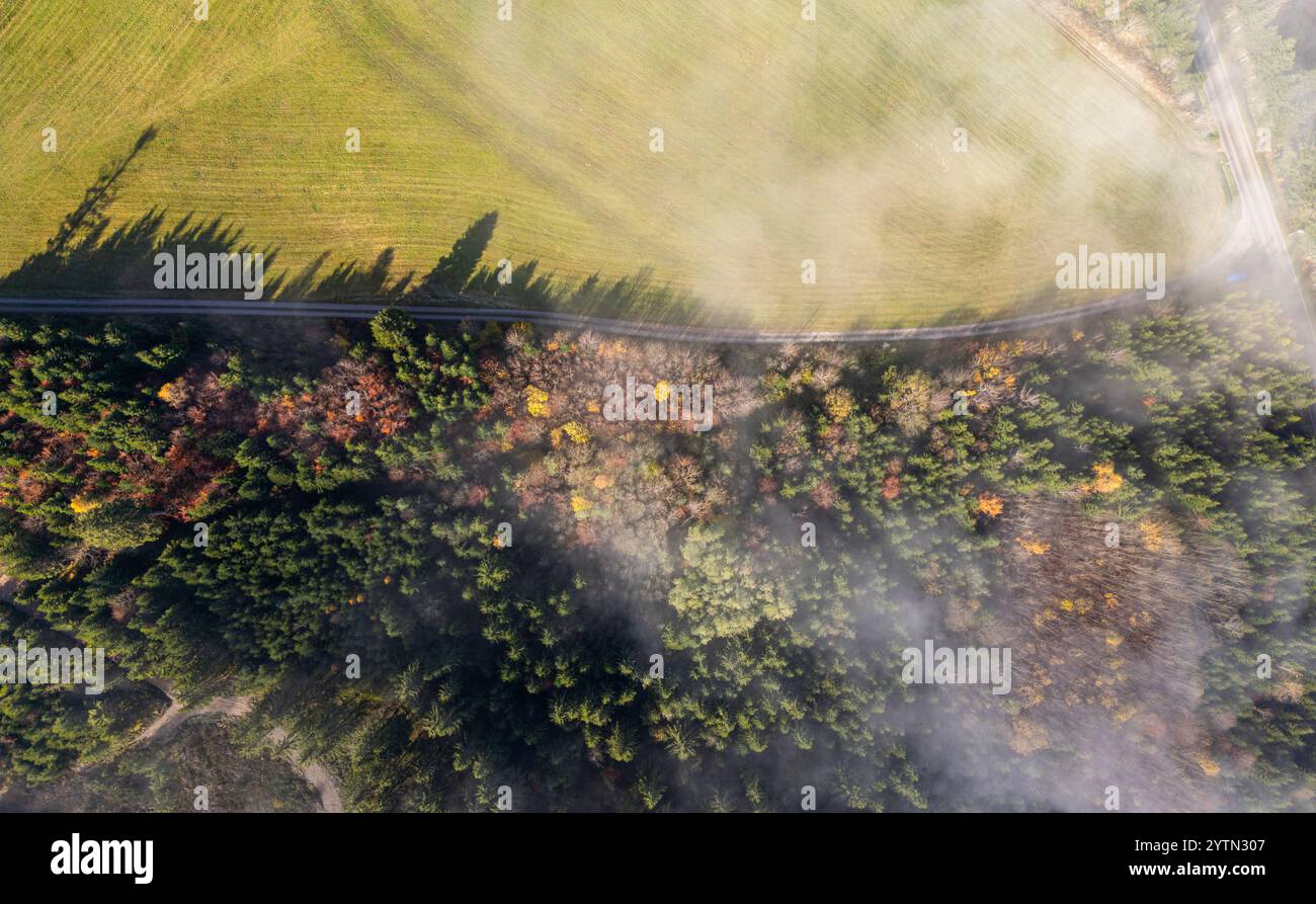 Grafenhausen, Germania, 10 novembre 2024: Dove l'alta nebbia si è liberata, sarà piacevole. La nebbia alta copre la Foresta Nera come lana di cotone. (Pho Foto Stock