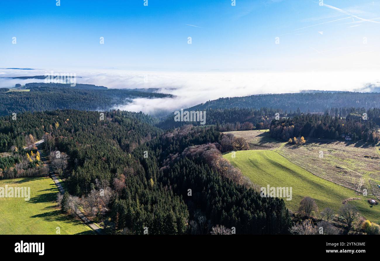 Bonndorf im Schwarzwald, Germania, 10 novembre 2024: Vista dall'alto sulla Foresta Nera. In alcuni punti la nebbia si è spenta, in altri Foto Stock