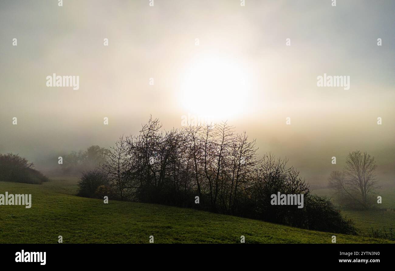 Bonndorf im Schwarzwald, Germania, 10 novembre 2024: Vista attraverso l'alta nebbia verso il sole. (Foto di Andreas Haas/dieBildmanufaktur) Foto Stock