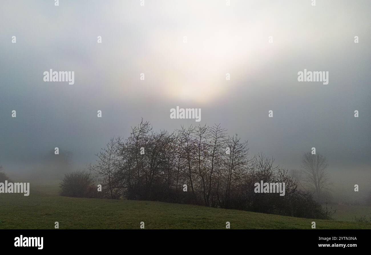 Bonndorf im Schwarzwald, Germania, 10 novembre 2024: Vista attraverso l'alta nebbia verso il sole. (Foto di Andreas Haas/dieBildmanufaktur) Foto Stock