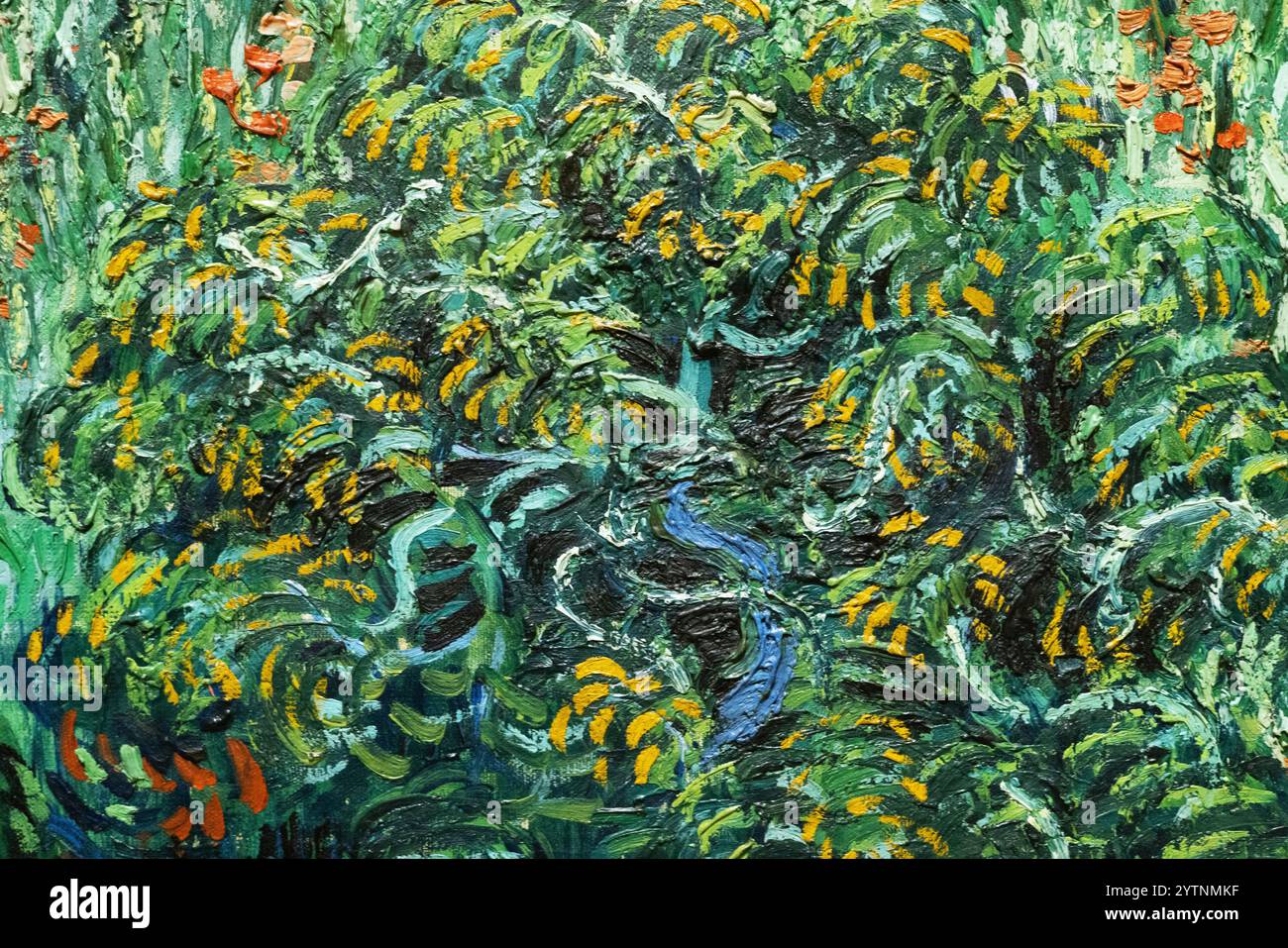 Primo piano dal campo di Van Gogh con i papaveri, 1889; per mostrare le pennellate, la tecnica e lo stile di pittura di Van Gogh Foto Stock