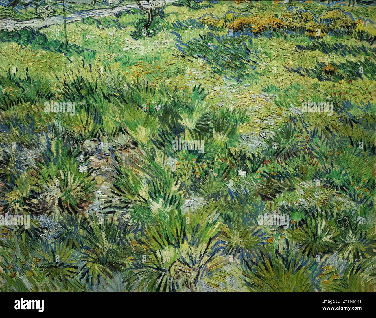 Van Gogh Long Grass with Butterflies, 1890. Pittura di Vincent Van Gogh; dipinti post impressionisti degli anni '1800 Foto Stock
