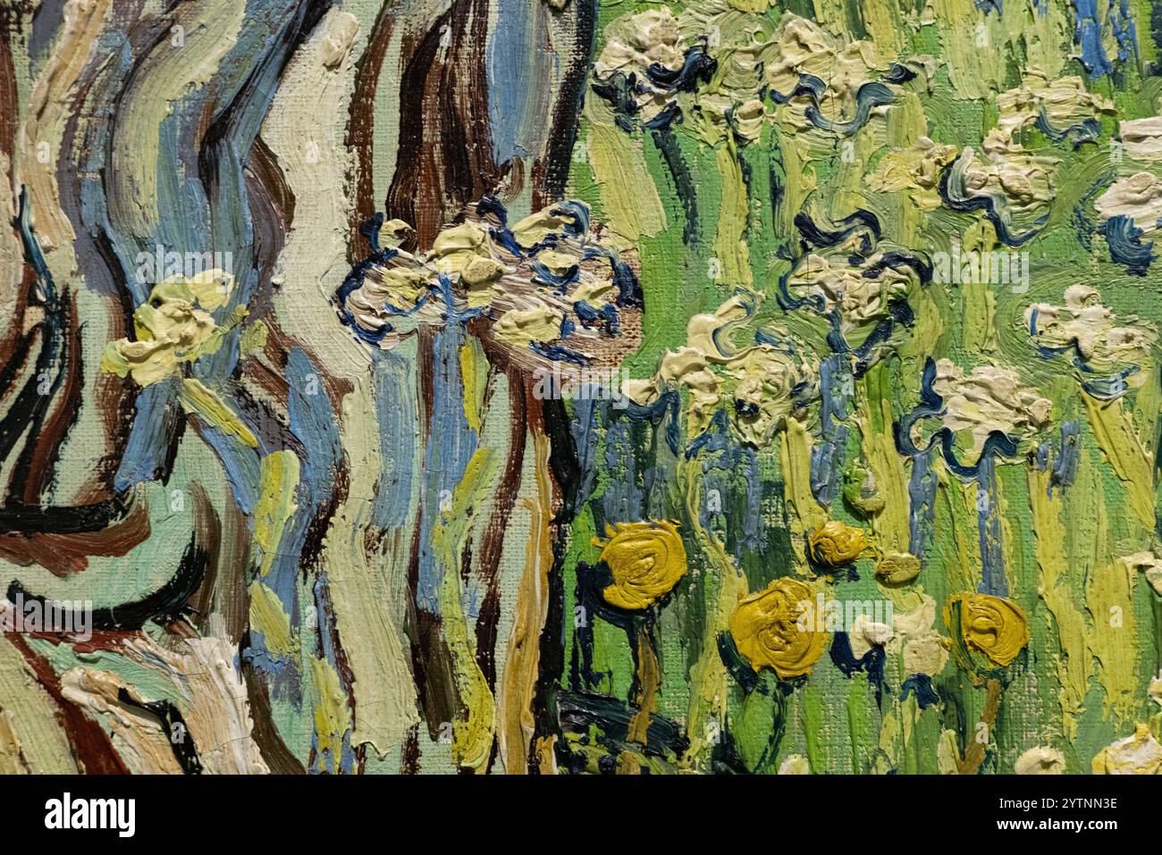 Primo piano dai tronchi di Van Gogh in The Grass 1890; per mostrare tratti di pennello, tecnica e stile di pittura di Vincent Van Gogh Foto Stock