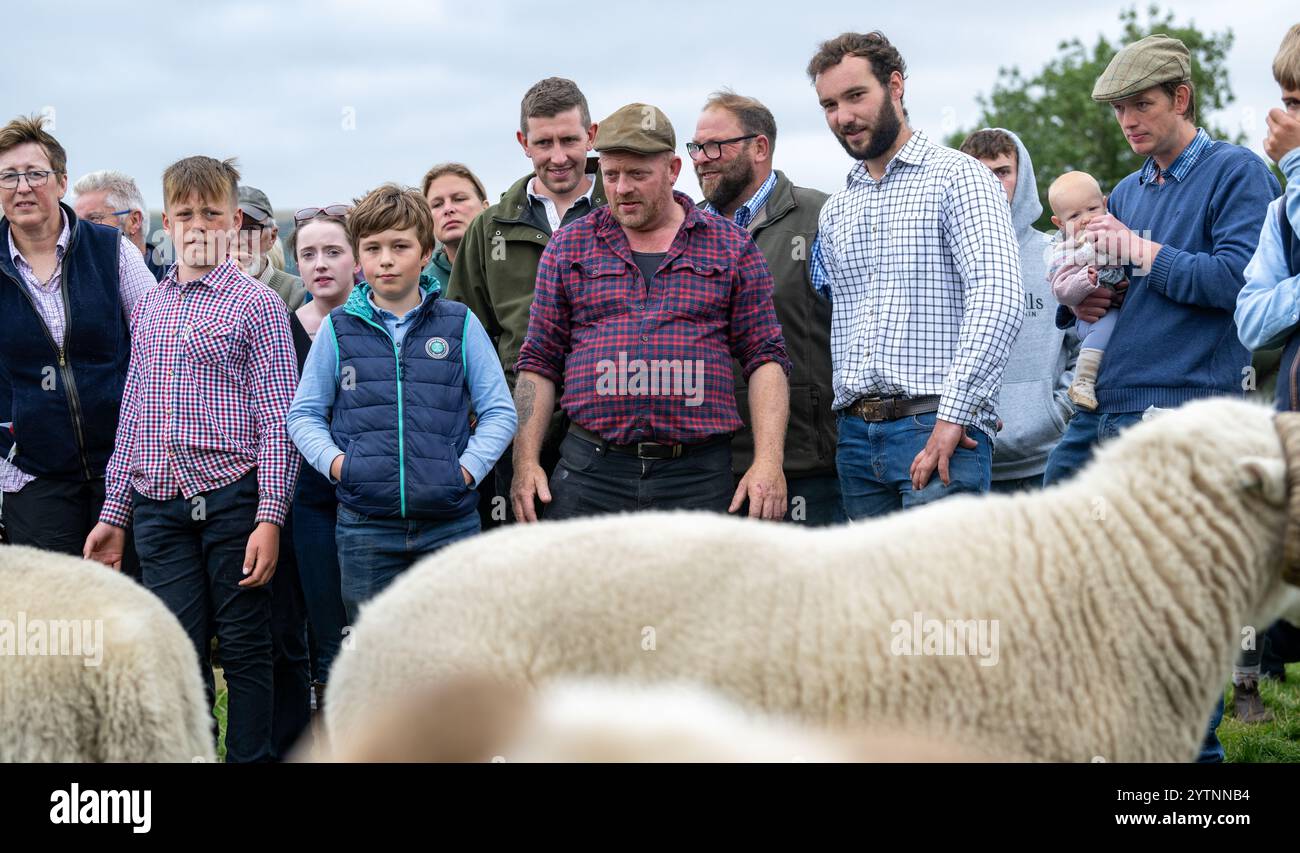 Mostra le pecore White Face Woodland all'Hope Show nel Peak District, Derbyshire, Regno Unito. 2024 Foto Stock