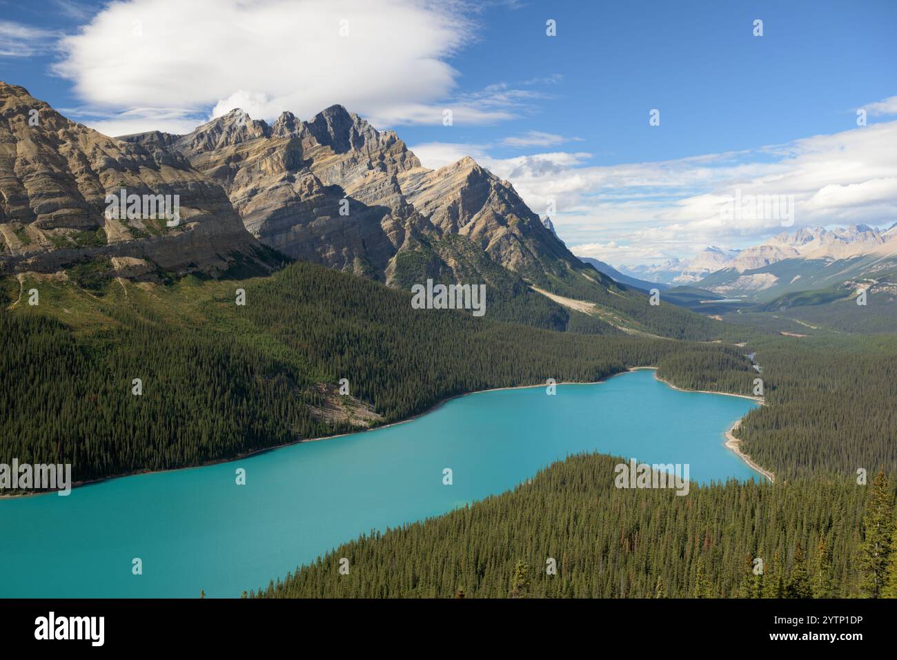 Lago Peyto turchese alimentato dai ghiacciai lungo l'Icefields Parkway nel Banff National Park, Alberta Foto Stock