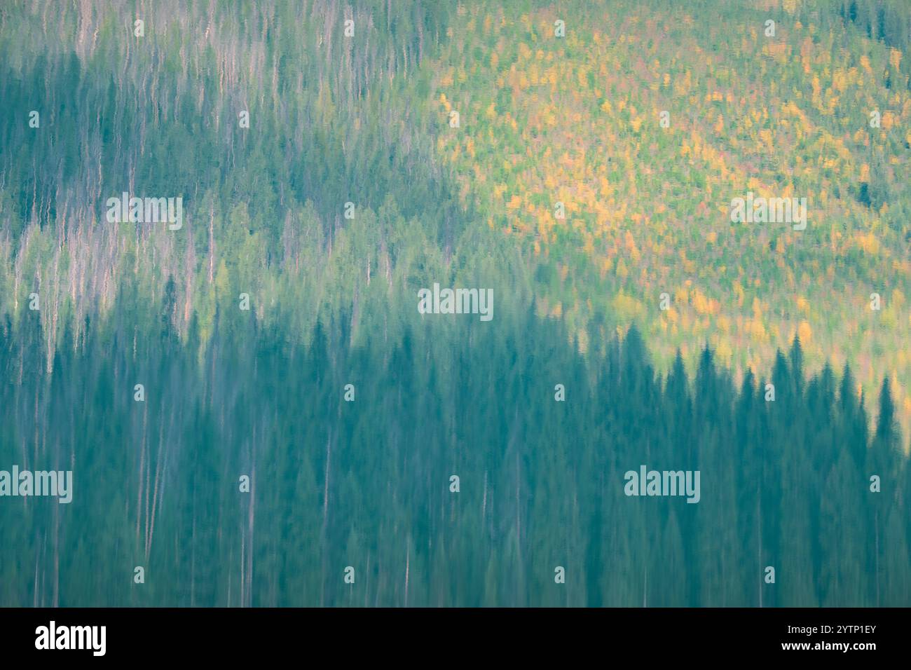 I colori astratti dell'autunno si riflettono al largo dell'acqua alimentata dal ghiacciaio del lago Emerald presso il parco nazionale di Yoho nella Columbia Britannica Foto Stock