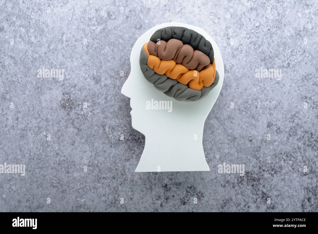 Silhouette della testa con toni terrosi su sfondo grigio, vista dall'alto. Disturbi mentali, eco-ansia. Foto Stock