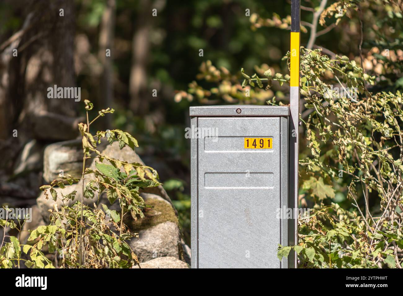 Una scatola d'argento con il numero 1491 si erge da sola tra foglie e rocce, indicando una posizione remota lungo una tranquilla strada di campagna circondata da alberi Foto Stock