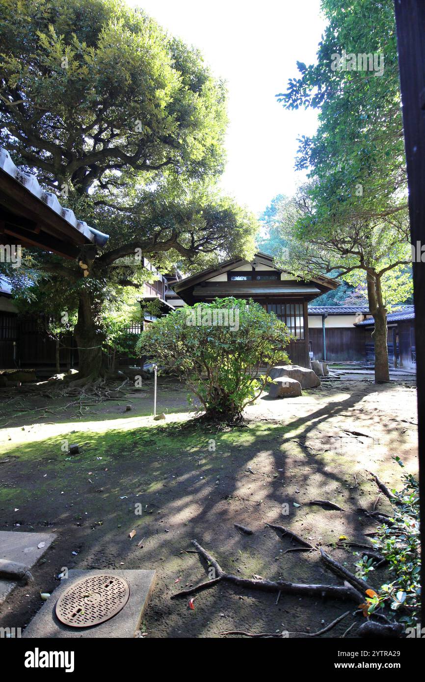 annesso in stile giapponese dell'ex residenza della famiglia Maeda (costruita nel 1929 di proprietà del governo) nel Parco Komaba, Tokyo, Giappone Foto Stock