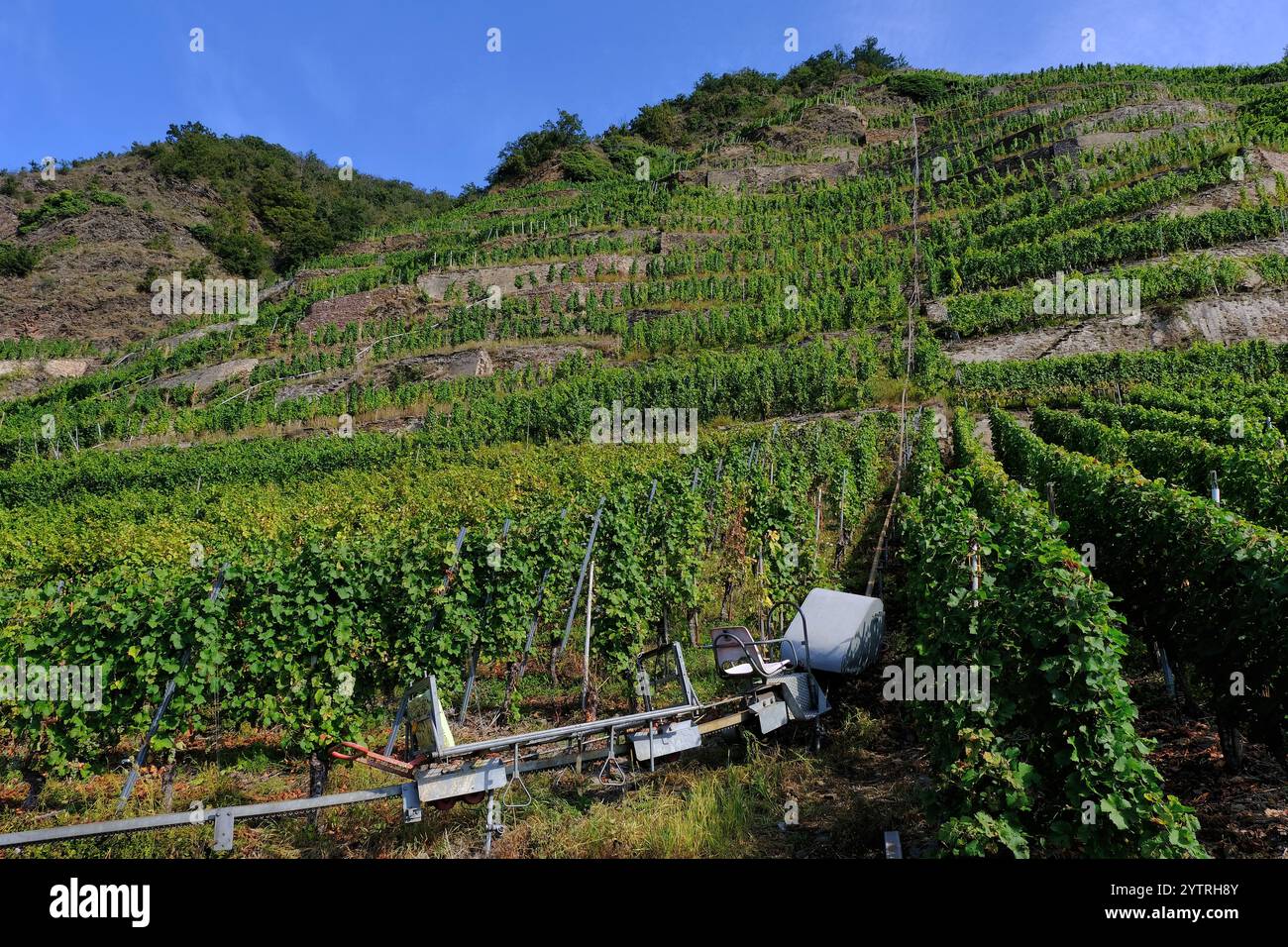 Winningen: Attrezzatura su ferrovia monorotaia a cremagliera per lavorare su una ripida collina di vigneto vicino a Winningen, fiume Mosella, Renania-Palatinato, Germania Foto Stock