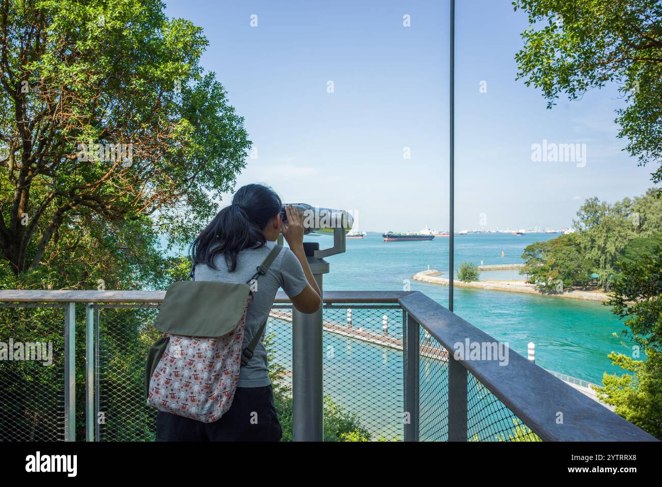 Parco marino delle Isole sorelle, Singapore. Piscina e spiaggia con maree lagunari che fungono da habitat corallino e sito di ricerca. Foto Stock