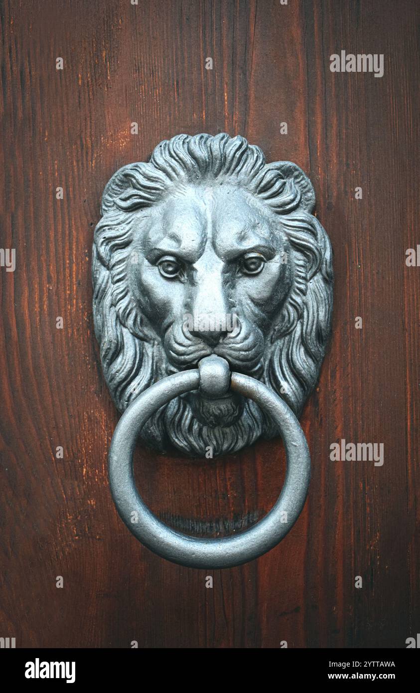 Un dettagliato primo piano di un battente della porta della testa di un leone, montato su una porta di legno. Foto Stock